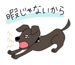 cute five dogs sticker #13589099