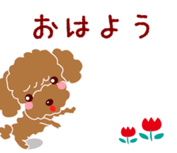 Poodle brother sticker #13589190