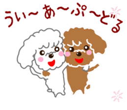 Poodle brother sticker #13589209