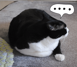 sticker japan cat&gin Photo version 1 sticker #13589480