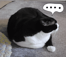 sticker japan cat&gin Photo version 1 sticker #13589480