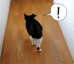 sticker japan cat&gin Photo version 1 sticker #13589487