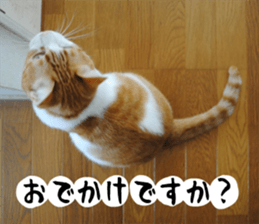 sticker japan cat&gin Photo version 1 sticker #13589488