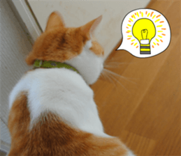 sticker japan cat&gin Photo version 1 sticker #13589492