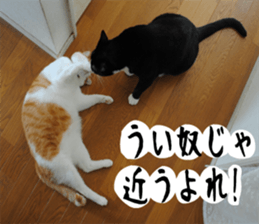 sticker japan cat&gin Photo version 1 sticker #13589497