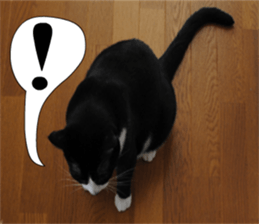 sticker japan cat&gin Photo version 1 sticker #13589499