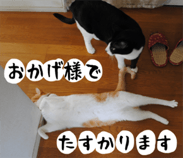 sticker japan cat&gin Photo version 1 sticker #13589500