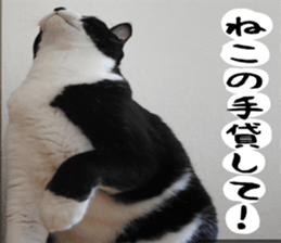 sticker japan cat&gin Photo version 1 sticker #13589507