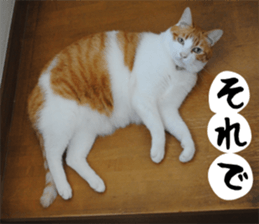 sticker japan cat&gin Photo version 1 sticker #13589512
