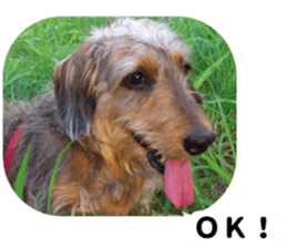 Chuchu's sticker 2 sticker #13590094