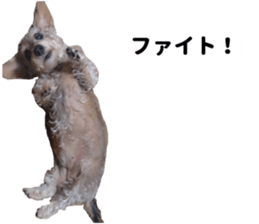 Chuchu's sticker 2 sticker #13590095