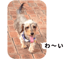 Chuchu's sticker 2 sticker #13590098