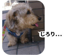 Chuchu's sticker 2 sticker #13590099