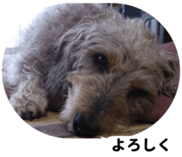 Chuchu's sticker 2 sticker #13590100