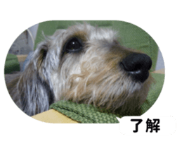 Chuchu's sticker 2 sticker #13590101