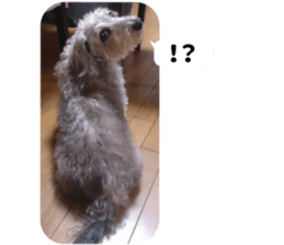 Chuchu's sticker 2 sticker #13590103