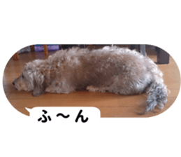 Chuchu's sticker 2 sticker #13590104