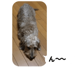 Chuchu's sticker 2 sticker #13590105