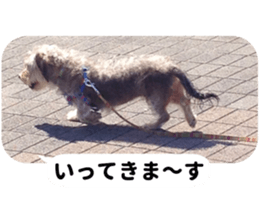 Chuchu's sticker 2 sticker #13590106