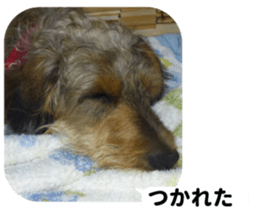 Chuchu's sticker 2 sticker #13590107