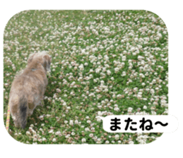 Chuchu's sticker 2 sticker #13590109