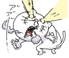 cat'sman for private actions 7 sticker #13590253