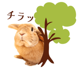 Rabbit of maru sticker #13591630