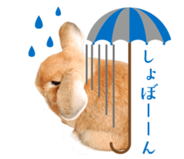 Rabbit of maru sticker #13591632