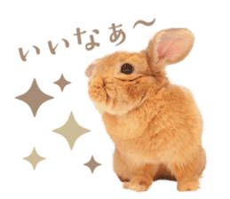 Rabbit of maru sticker #13591633