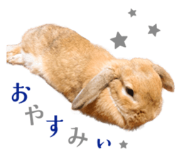 Rabbit of maru sticker #13591634
