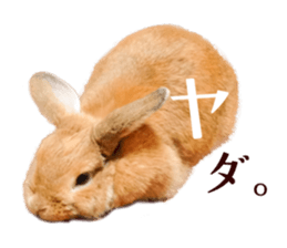 Rabbit of maru sticker #13591635