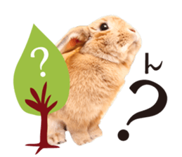 Rabbit of maru sticker #13591638