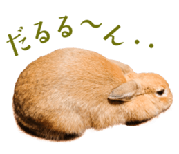 Rabbit of maru sticker #13591643
