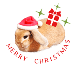 Rabbit of maru sticker #13591644