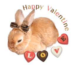 Rabbit of maru sticker #13591645