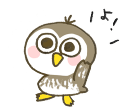 Little Owl Stiker sticker #13591672