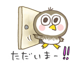 Little Owl Stiker sticker #13591677