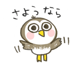 Little Owl Stiker sticker #13591679