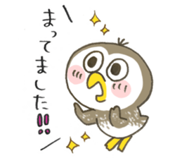 Little Owl Stiker sticker #13591688