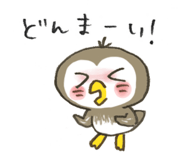 Little Owl Stiker sticker #13591697