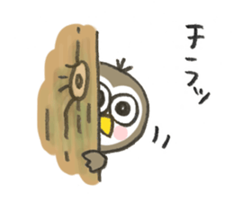 Little Owl Stiker sticker #13591702