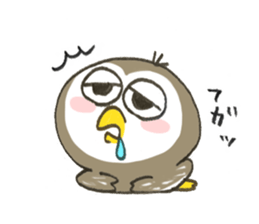 Little Owl Stiker sticker #13591704