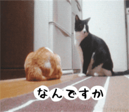 sticker japan cat&gin Photo version 2 sticker #13592199