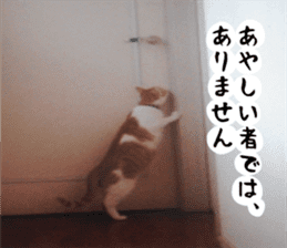 sticker japan cat&gin Photo version 2 sticker #13592204