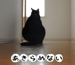 sticker japan cat&gin Photo version 2 sticker #13592209