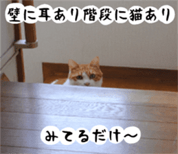 sticker japan cat&gin Photo version 2 sticker #13592211