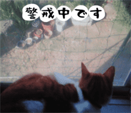 sticker japan cat&gin Photo version 2 sticker #13592217