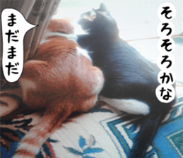 sticker japan cat&gin Photo version 2 sticker #13592224