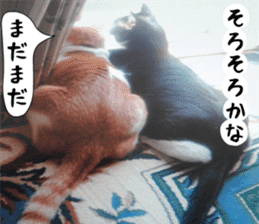 sticker japan cat&gin Photo version 2 sticker #13592224