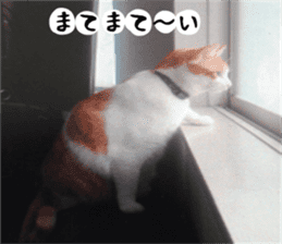 sticker japan cat&gin Photo version 2 sticker #13592226